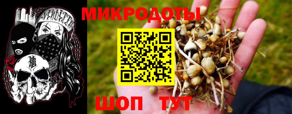 Псилоцибиновые грибы прущие грибы Георгиевск